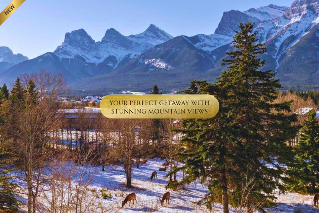 Golden Escape 2 Bdrm Mountain Views - Managed By Little Sister Getaways Apartment